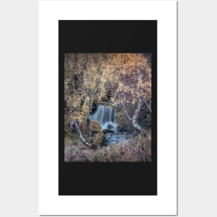 'Golden Birches, Autumn Waterfall', Strath Fionan, near Kinloch Rannoch. Posters and Art